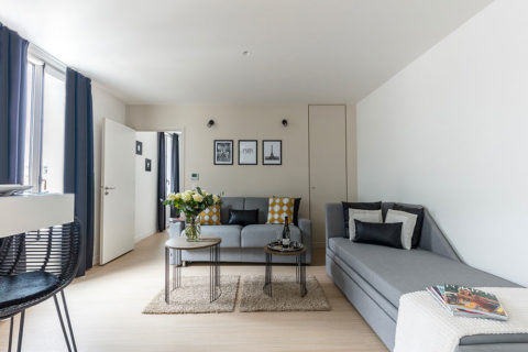 The Deluxe Apartment Living Room